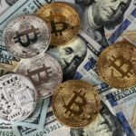Crypto Investing Course